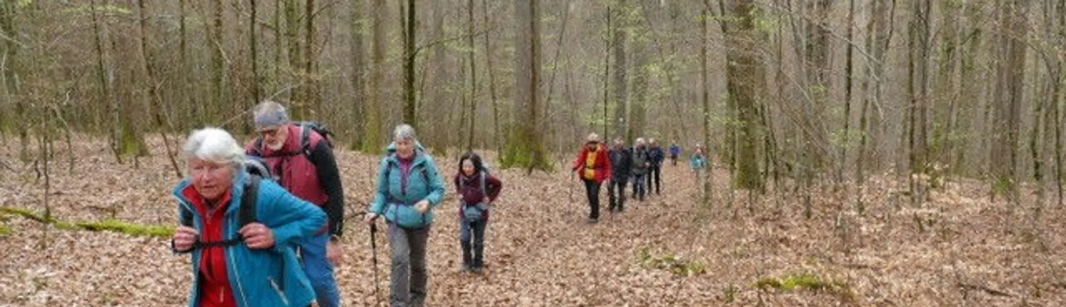 Wanderung in Bad Orb_1 | © Sektion/Reinhard Strasser
