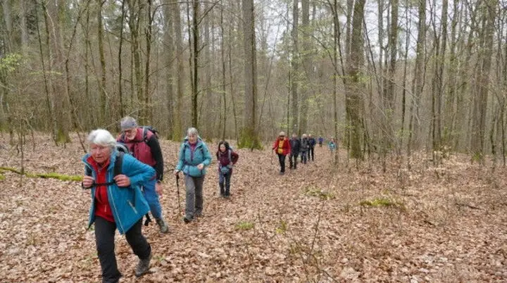 Wanderung in Bad Orb_1 | © Sektion/Reinhard Strasser
