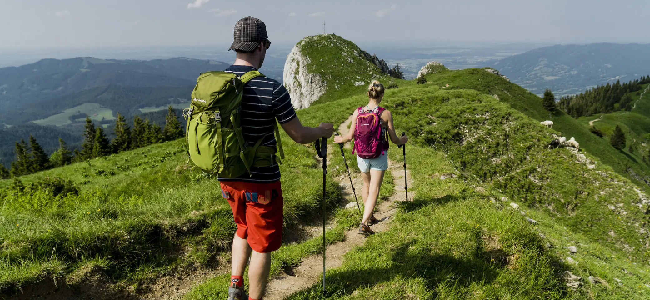 Zwei Wanderer auf den grünen Berghängen der Chiemgauer Alpen | © DAV/Hans Herbig