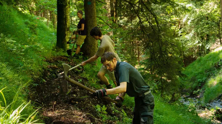 Aktion Schutzwald | © 	DAV/Arvid Uhlig